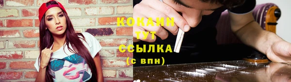 ешки Вязьма