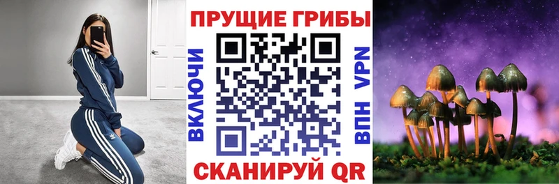 Псилоцибиновые грибы Psilocybine cubensis Петушки