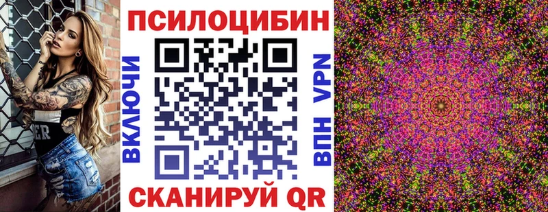 где продают   Петушки  Псилоцибиновые грибы мицелий 